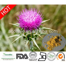 Milk thistle Extract(Silymarin), 80% Silymarin